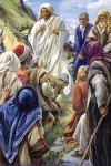 Làm cớ vấp ngã (7.11.2016 – Thứ hai Tuần 32 Thường niên)